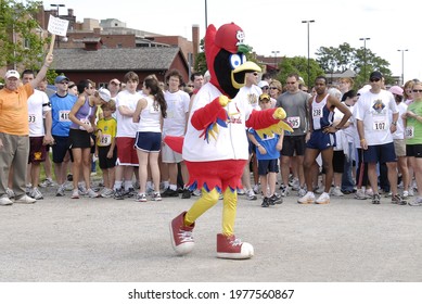 ST  CHARLES, UNITED STATES - May 10, 2009: Fred Bird, The Mascot For The St  Louis Cardinals Baseball Team Having Some Fun With The Crowd At A Charity Event In St  Charles, Missouri 