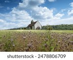 St Hubert’s Church, Idsworth, Church in Wildflower field