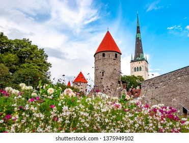 St. Olaf’s Church tower and Walls of old Tallinn, Estonia