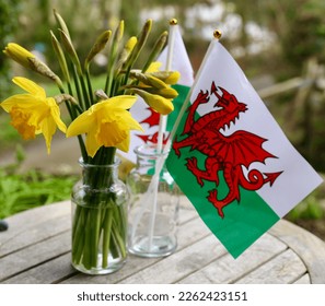 St David's Day daffodil and welsh flag display - national symbols of Wales. Cefnogi Cymru Support Wales. Dydd Gwyl Dewi St David’s Day