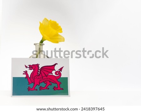 St Davids Day  Dewi Sant Patron Saint of Wales Welsh flag and daffodil isolated on a white background