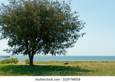 St Helena Island National Park, Brisbane, Queensland.