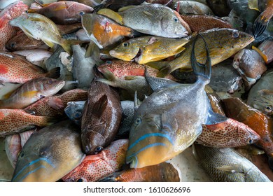 St. Johns Public Fish Market, Antigua  Barbuda