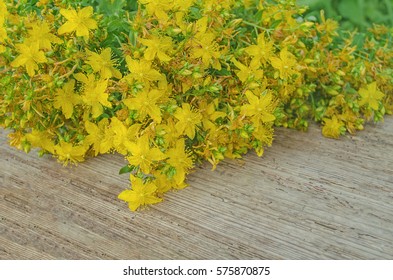 St. John's wort  dried on a wooden table. Medicinal plant. Hypericum perforatum