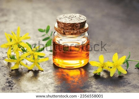 St. John's Wort oil with flowers on black background, closeup, natural medicine, spa and massage oils, skincare, healthy herbal treatment concept
