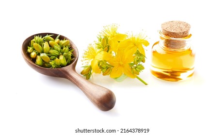St john's wort plant with wort oil on white background