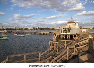 St Kilda Penguin Colony Images Stock Photos Vectors Shutterstock