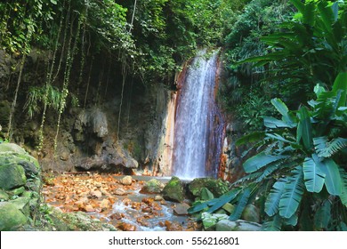 St. Lucia Botanical Gardens, Diamond Waterfall, Caribbean