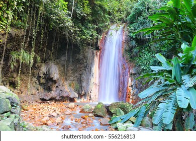 St. Lucia Botanical Gardens, Diamond Waterfall, Caribbean