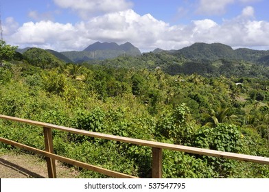 St. Lucia Rainforest