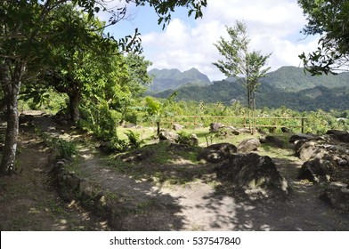 St. Lucia Rainforest