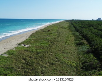 St Lucie County Florida Beaches And Intercoastal Waterway