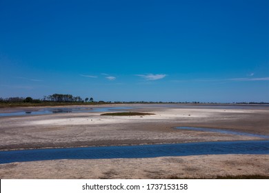 St. Marks National Wildlife Refuge Marshes