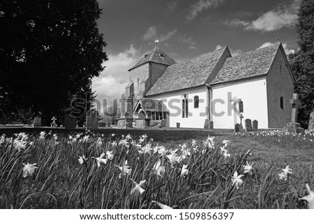 St Marys is a 12th Century Norman Church, it is a Grade 1 listed building and is surrounded with daffodils in spring, Kempley, near Newent, Gloucestershire, UK