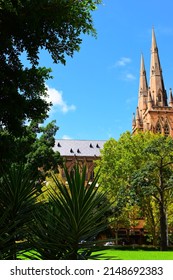 St Marys Cathedral - Sydney - NSW 