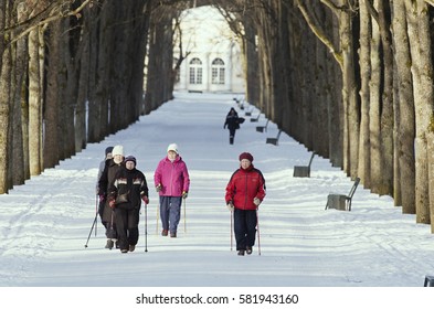 St. Petersburg (Pavlovsk Park),Russia - 15 February 2017: Elderly women are engaged in the Nordic walking in the winter park.