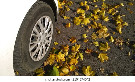 St. Petersburg, Russia - October 4, 2021: Wheel on road. Fallen maple leaves on ground. Autumn street. Travelling. Driving. Automobile hubcap. Protection auto. Fall. Vehicle tire. Clean car concept.