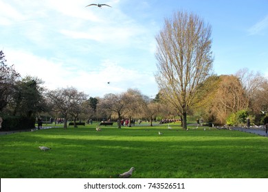 2,289 St stephens green Images, Stock Photos & Vectors | Shutterstock