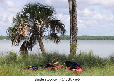 St. Vincent Island In Florida