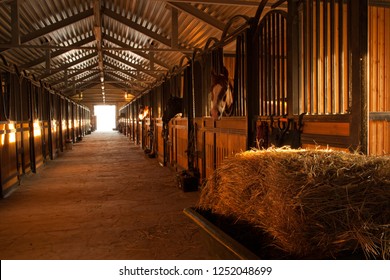 In the stable with horses in a equestrian center near russian city Kaluga.