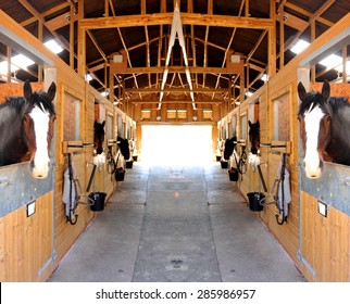 At the stables (selective focus on horses)