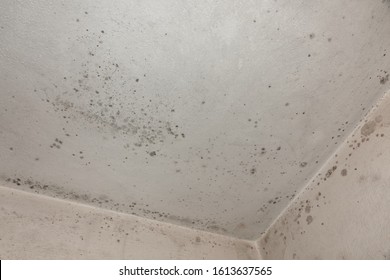 Water Stains On Ceiling Images Stock Photos Vectors