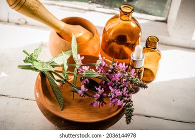 Stachys palustris, clown's woundwort, marsh hedgenettle, or hedge-nettle,on a wooden plate and pharmacy bottles. Preparation for the preparation of elexirs and tinct - Shutterstock ID 2036144978