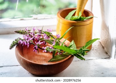 Stachys palustris, marsh woundwort, clown's woundwort, clown's heal-all, marsh hedgenettle, or hedge-nettle,on a wooden plate and pharmacy bottles. Preparation elexirs and tinct - Shutterstock ID 2028976256