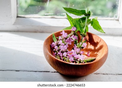 Stachys palustris, marsh woundwort, clown's woundwort, clown's heal-all, marsh hedgenettle, or hedge-nettle,on a wooden plate and pharmacy bottles. Preparation for the preparation of elexirs and tinct - Shutterstock ID 2224746653