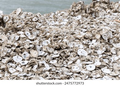 Stack of abandoned oyster shell