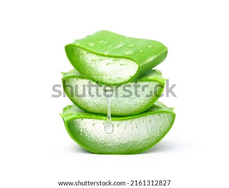 Stack of Aloe vera sliced with gel dripping isolated on white background. 