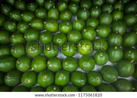 Stack of avocado on white cotton background. Avocado is a tree that is native to South Central Mexico, classified as a member of the flowering plant family Lauraceae.