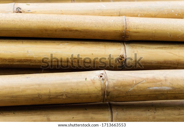 stack of\
bamboo material for burn to charcoal\
bamboo.