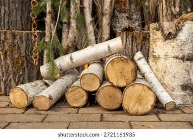 Stack of birch firewood logs on paved ground with fir branches and tree trunks in background.
