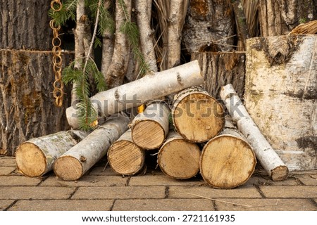 Stack of birch firewood logs on paved ground with fir branches and tree trunks in background.