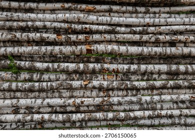 Stack of Birch Logs in Rustic Outdoor Wall Nature Texture Background