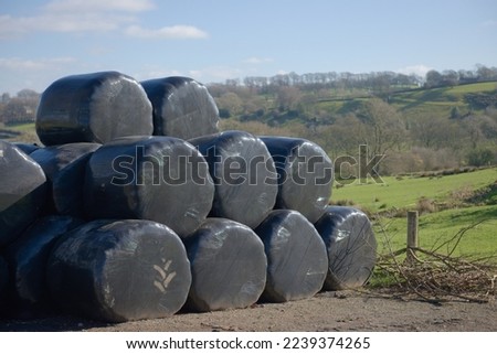 Stack of black plastic wrapped hay bales, also known as haylage, with copy space to the right hand side. Bundle of tree branches on the floor too.