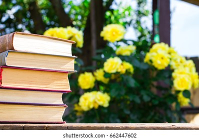 A stack of books against the backdrop of nature on a summer day. Education, learning, reading, wisdom.