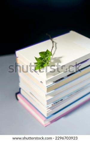 Stack of books with branch green leaves, World book day, knowledge and creativity concept, spring, summer mood, copy space, top view.