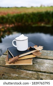 
A stack of books and cocoa with marshmallows against the backdrop of a beautiful natural landscape by the lake for a pleasant stay.