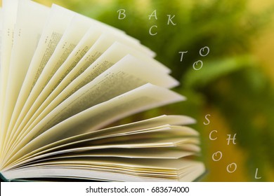 Stack of books on green background with concept back to school