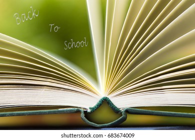 Stack of books on green background with concept back to school