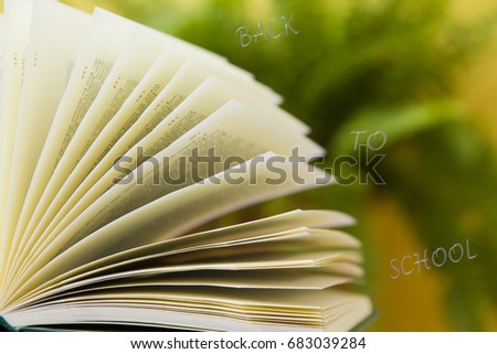 Stack of books on green background with concept back to school
