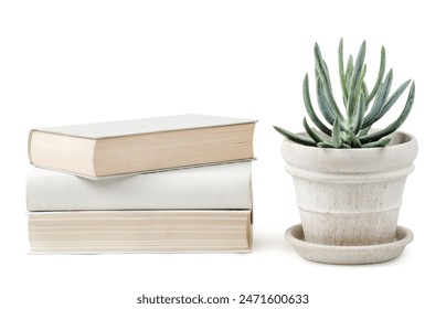stack of books and a potted succulent isolated over a white background, blank empty wall mockup, bright neutral colors, reading, office, or interior design elements, minimalist nordic shelf or table