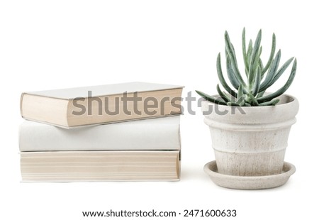 stack of books and a potted succulent isolated over a white background, blank empty wall mockup, bright neutral colors, reading, office, or interior design elements, minimalist nordic shelf or table