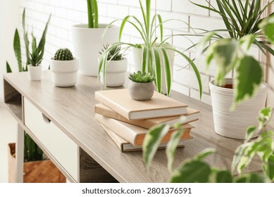 Stack of books with small succulent plant on wooden table surrounded by potted houseplants
