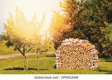 Stack of chopped firewood getting dried on sunny summer day