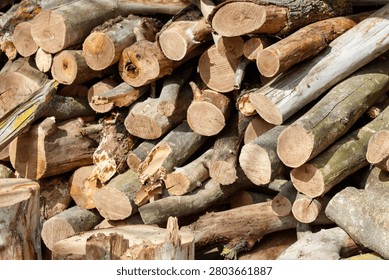 Stack of chopped firewood logs. Natural textures and weathered bark visible. Sunlit woodpile ready for burning. Varied sizes and shapes in rustic pile. Earth tones dominate the scene