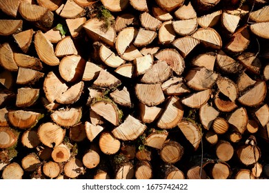 A stack of a lot of chopped firewood ready for the cold winter