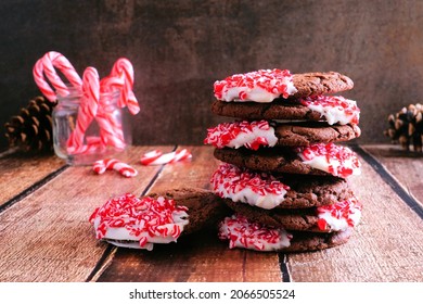 Stack Of Christmas Chocolate Candy Cane Cookies. Side View Table Scene On A Dark Background.